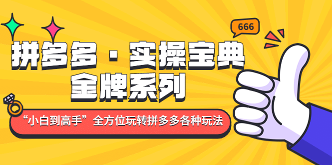 拼多多・实操宝典：金牌系列“小白到高手”带你全方位玩转拼多多各种玩法