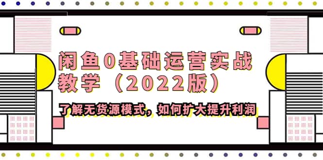 闲鱼0基础运营实战教学（2022版）了解无货源模式，如何扩大提升利润