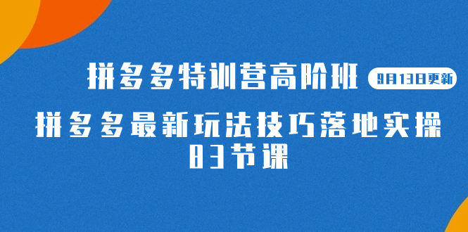 2023拼多多・特训营高阶班【9月13日更新】拼多多最新玩法技巧落地实操-83节