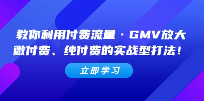教你利用付费流量・GMV放大，微付费、纯付费的实战型打法
