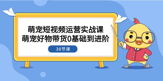 萌宠・短视频运营实战课：萌宠好物带货0基础到进阶（38节课）