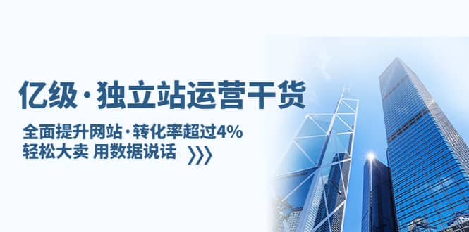 独立站运营干货：全面提升网站・转化率超过4%，轻松大卖 用数据说话