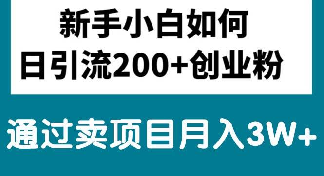 新手小白日引流200+创业粉,通过卖项目一个月3W+