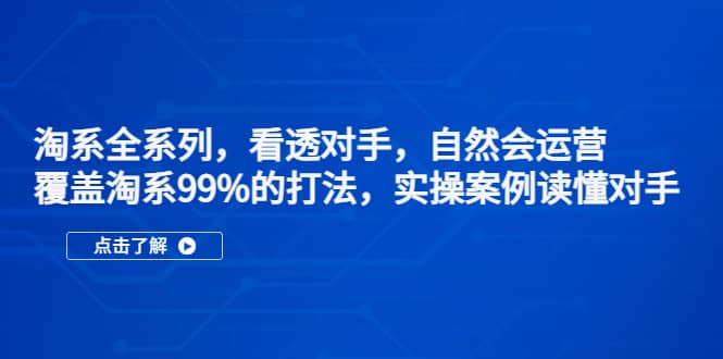 淘系全系列，看透对手，自然会运营，覆盖淘系99%・打法，实操案例读懂对手