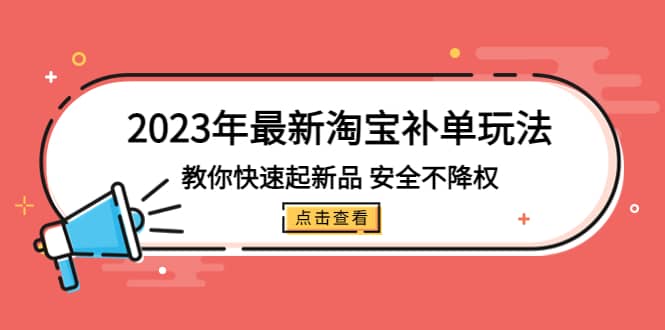 2023年最新淘宝补单玩法，教你快速起・新品，安全・不降权（18课时）