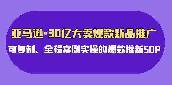 亚马逊30亿・大卖爆款新品推广，可复制、全程案例实操的爆款推新SOP