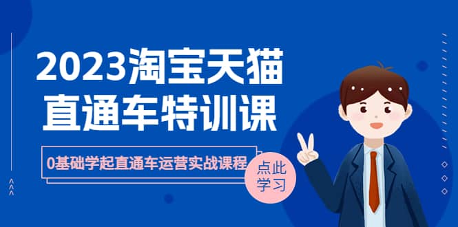 2023淘宝・天猫直通车评特训课，0基础学起直通车运营实战课程（8节课时）