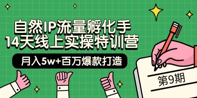 自然IP流量孵化手 14天线上实操特训营【第9期】百万爆款打造 (74节)