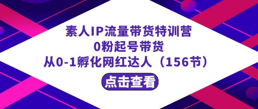 繁星・计划素人IP流量带货特训营：0粉起号带货 从0-1孵化网红达人（156节）