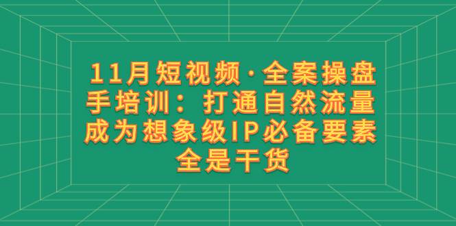 11月短视频・全案操盘手培训：打通自然流量 成为想象级IP必备要素 全是干货