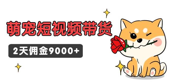 东哲日记・萌宠短视频带货，2天佣金9000+