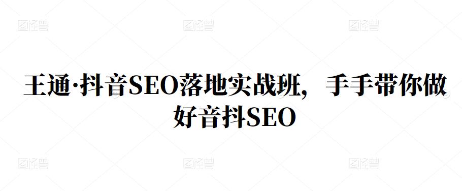 王通・抖音SEO落地实战班，手?手带你做好音抖??SEO