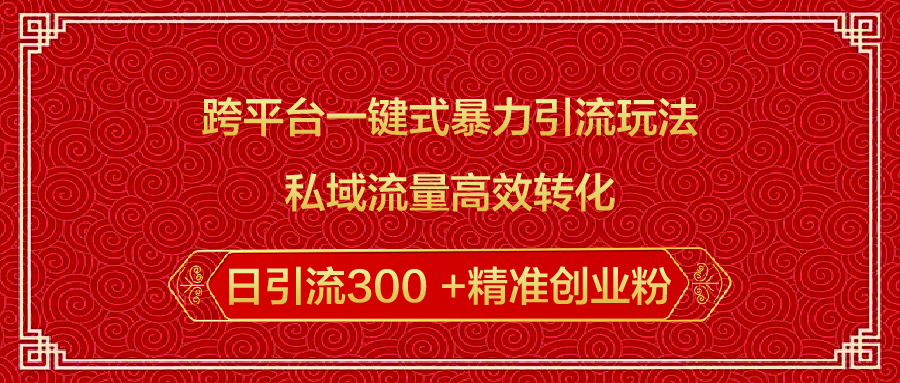 私域流量高效转化日引300
