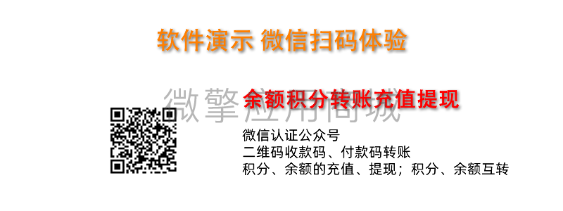 余额积分转账充值提现-1.1.21 – 商业无限多开版